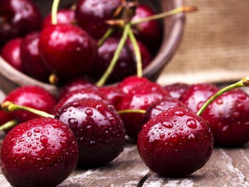 Вишня купить саженцы из питомника в Энергодаре